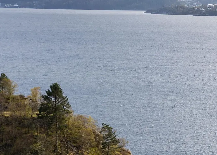 Golden Fjord-view